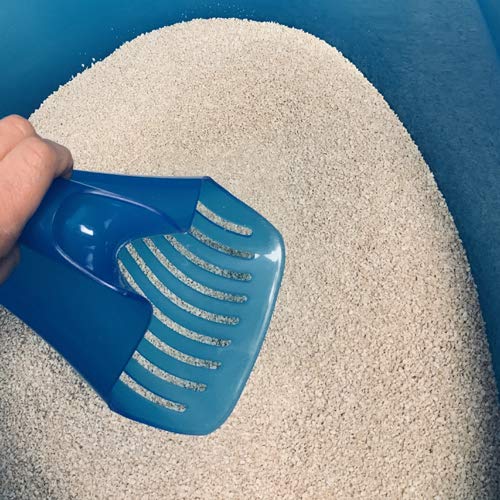 SmartCat Pioneer Pet Big Mouth Pet Litter Scoop, Blue